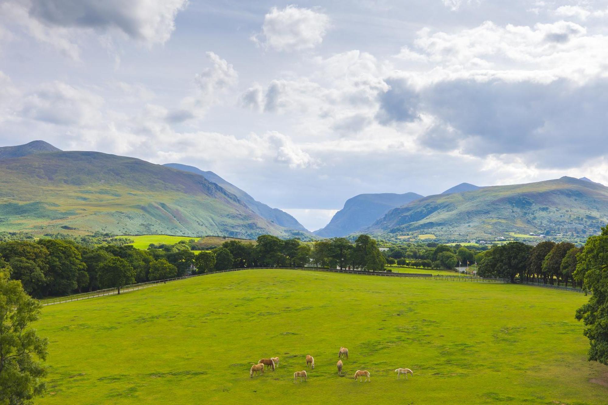 Hotel The Dunloe & Gardens Beaufort